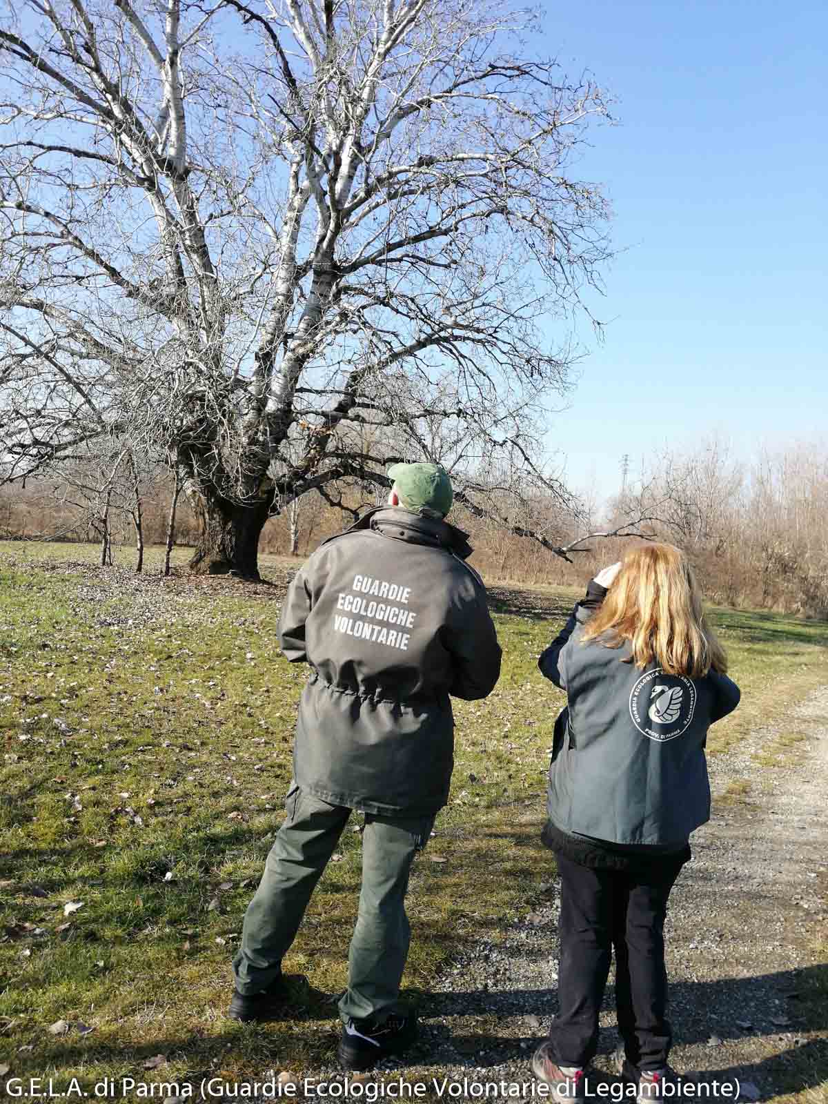Parco dello Stirone - Servizio di vigilanza - 29 gennaio 2022