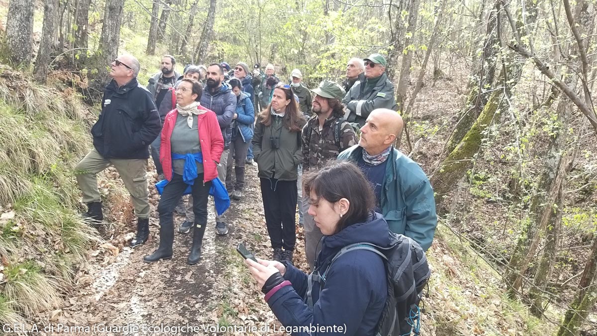 Corso di formazione G.E.V. (2022): uscita sul territorio - Oasi dei Ghirardi - 23/04/22