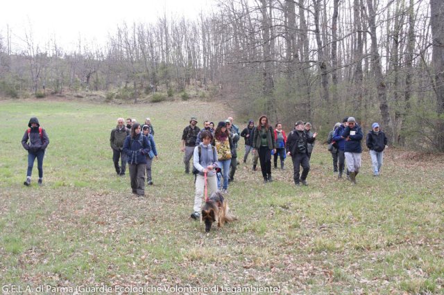 Corso_Gela_Parma_14