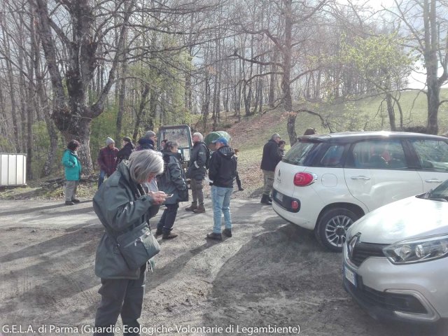 Corso_Gela_Parma_16