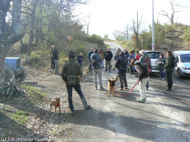 Corso_Gela_Parma_18