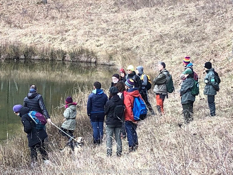 GIORNATA INTERNAZIONE DELLE ZONE UMIDE (WORLD WETLANDS DAY) - 06/02/2022