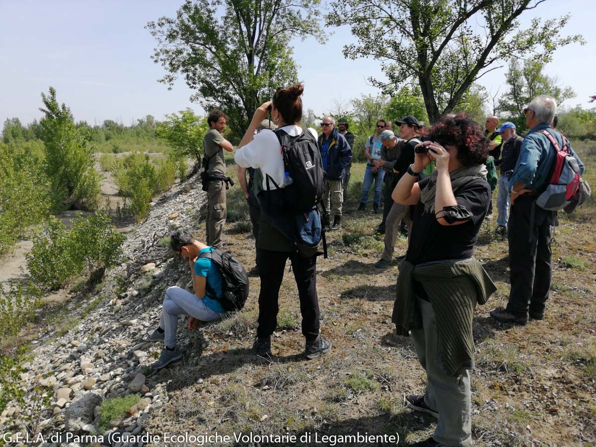 Corso di formazione G.E.V. (2022): uscita sul territorio - Parco Fluviale Regionale del Taro - 30/04/22