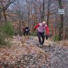 13-02-2011 &quot;Winter Trail del Borgo&quot;