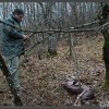 Gennaio 2011 immagini "Ritrovamento carcassa di lupo"
