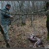 Gennaio 2011 immagini &quot;Ritrovamento carcassa di lupo&quot;