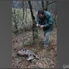 Gennaio 2011 immagini "Ritrovamento carcassa di lupo"