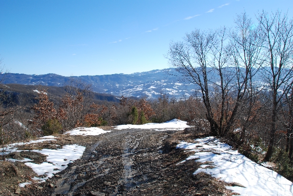 1Panorama_trial_Borgo_2011