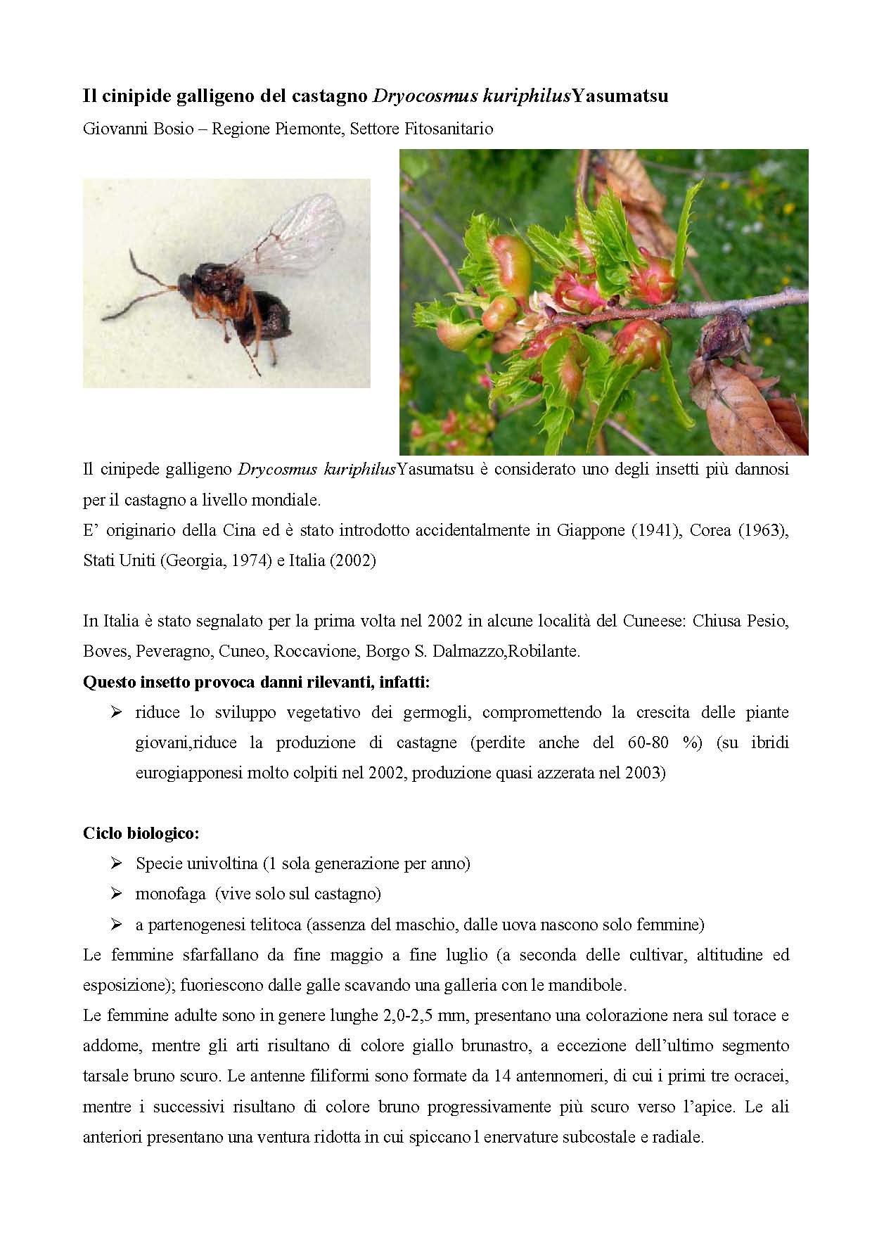 Relazione_CINIPIDE_del_CASTAGNO_da_Regione_Piemonte_Pagina_1