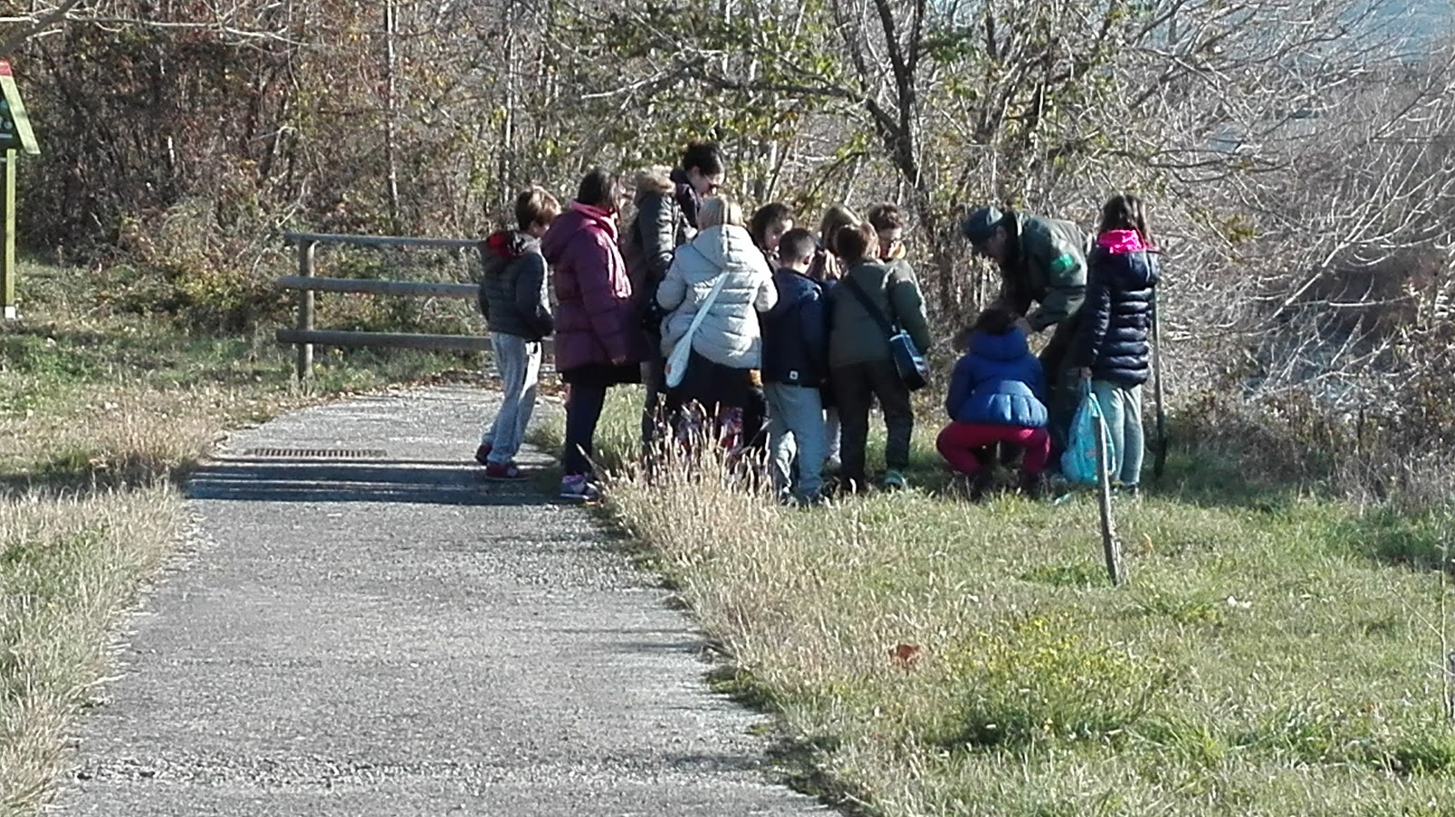 21 novembre GIORNATA NAZIONALE DELL'ALBERO