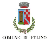 logo comune Felino Parma